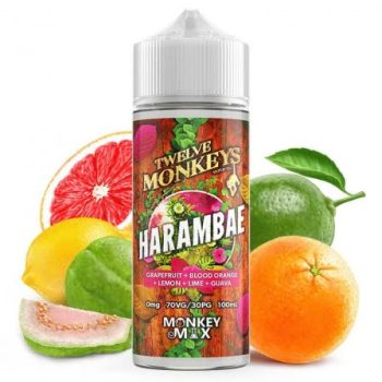 E-LIQUIDE HARAMBAE TWELVE MONKEYS 100ML