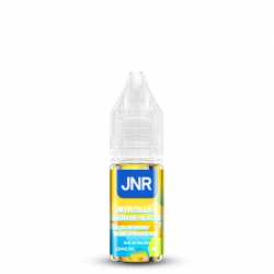 E-LIQUIDE SEL DE NICOTINE MYRTILLE GRENADE GLACEE JNR 10ML
