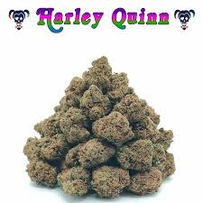 RÉSINES DE CBD HARLEY QUINN BURAL'ZEN