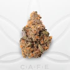 FLEURS DE CBD MANGO HAZE