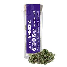 RÉSINE DE CBD AMNESIA HASCHILL
