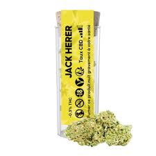 FLEURS DE CBD JACK HERER HASHILL