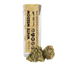 RÉSINE DE CBD WHITE WEEDOW HASCHILL