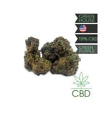 RÉSINE DE CBD STRONG GREEN PURPLE HASCHILL