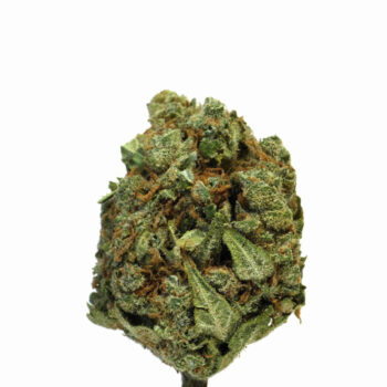 FLEURS DE CBD G13 GREENHOUSE