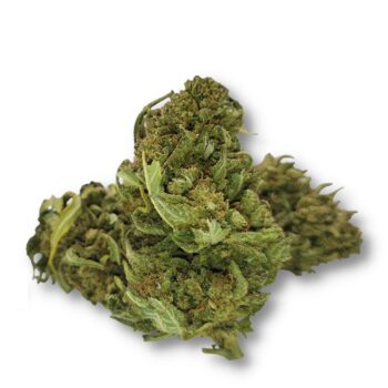 FLEURS DE CBD LEMON OG GREENHOUSE