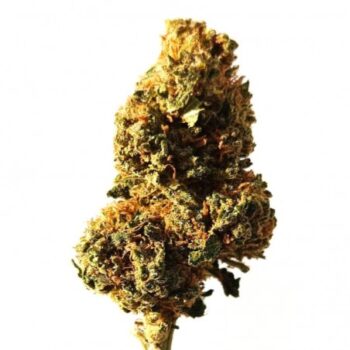 FLEURS DE CBD SUPER SILVER HAZE INDOOR