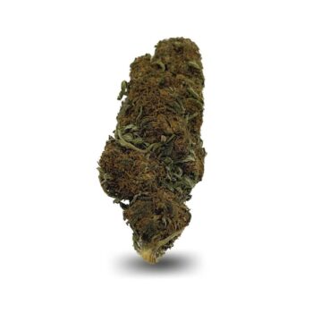FLEURS DE CBD HARLEY QUINN OUTDOOR