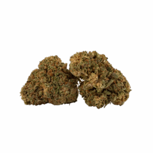 1021836589421-1.png