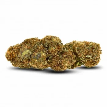 FLEURS DE CBD AK47 GREENHOUSE