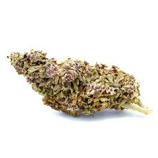 FLEURS DE CBD PURPLE HAZE GREENHOUSE