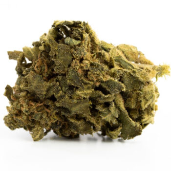 FLEURS DE CBD AMNESIA KUSH INDOOR