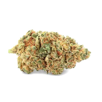 FLEURS DE CBD BUBBLE GUM INDOOR