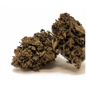 FLEURS DE CBD MELON BALL GREENHOUSE