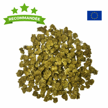 FLEURS DE CBD AMNESIA SMALL BUD